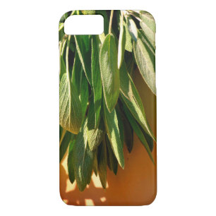 Fresh-cut Sage Case-Mate iPhone Case