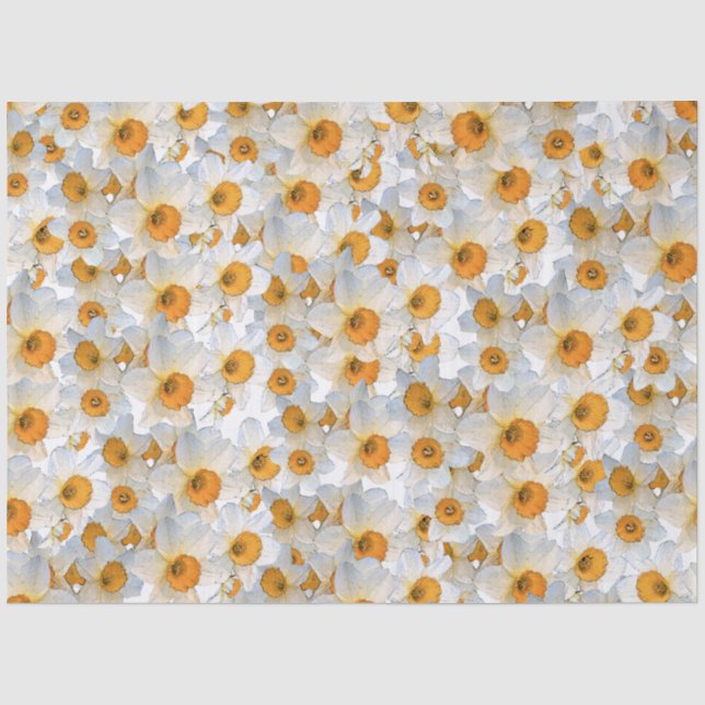 Fresh Daffodil Tissue Paper (Front)
