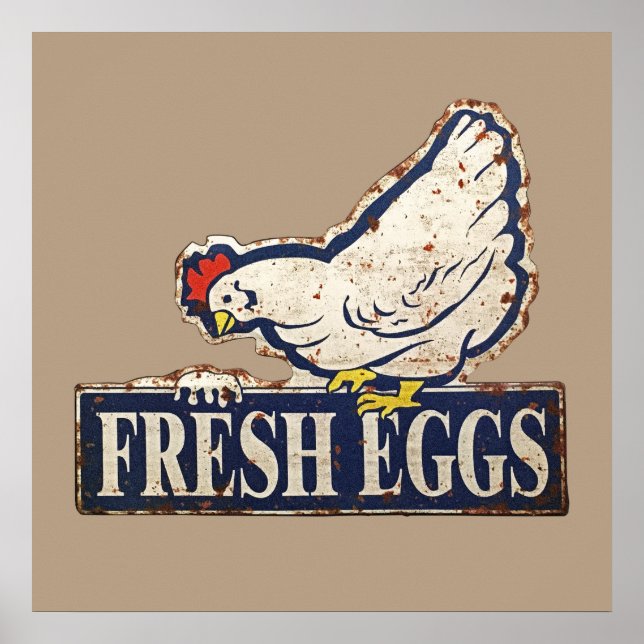 fresh eggs poster (Front)