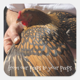 Fresh Eggs Stickers