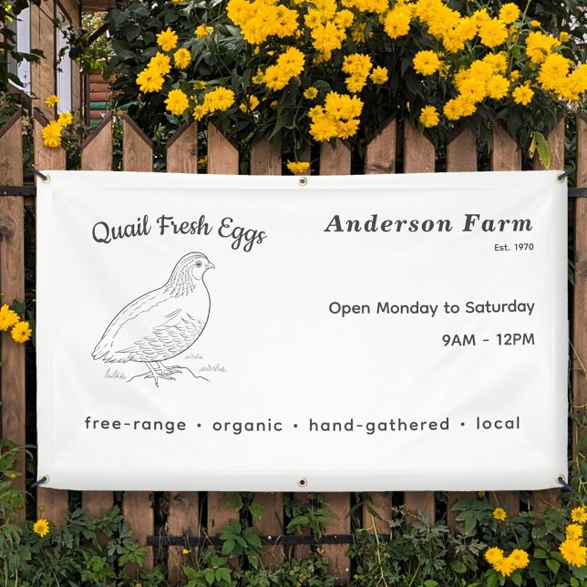 Fresh Farm Quail Eggs Banner (Fresh Farm Quail Eggs Banner)