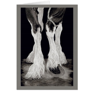 "Fresh Feathers" - Shire Draught Horse