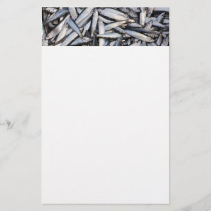 Fresh fish catch - food ingredients. stationery