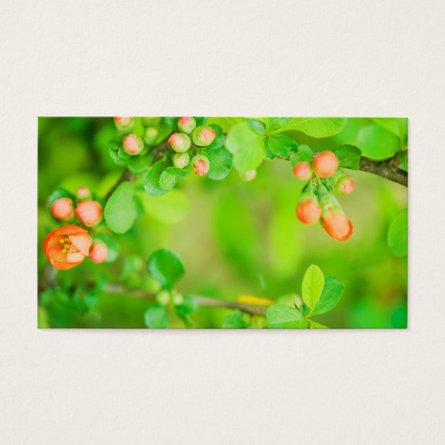 Fresh green and red flowers (Front)