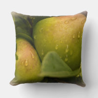 Fresh Green Apples Still on the Tree