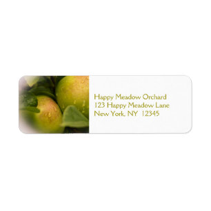 Fresh Green Apples with a Misty Border