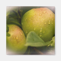 Fresh Green Apples with a Misty Border