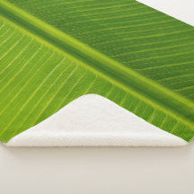 Fresh green banana leaf pattern