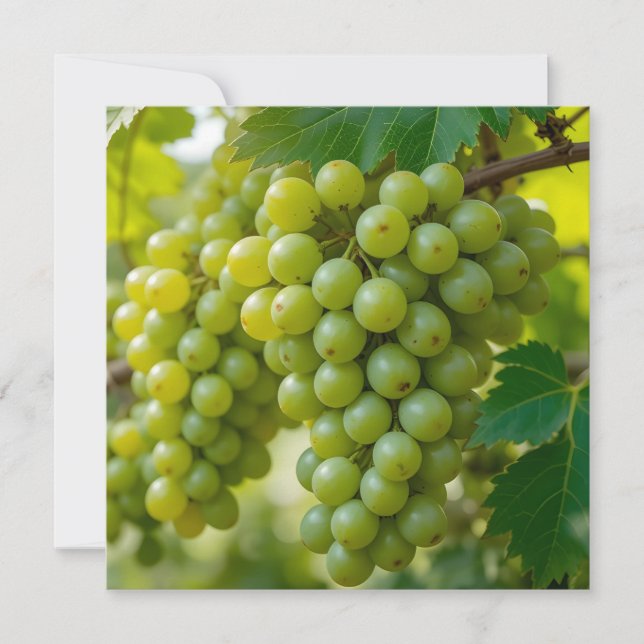 Fresh Green Grape Holiday Card (Front)