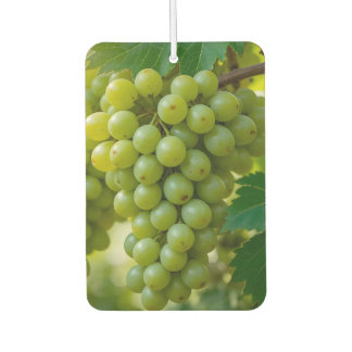 fresh green grapes car air freshener