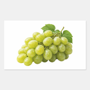 Fresh Green Grapes with Leaves Sticker
