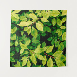 fresh green leaves look beautiful and very natural tapestry