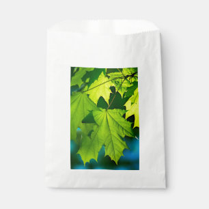 Fresh green maple leaves favour bags
