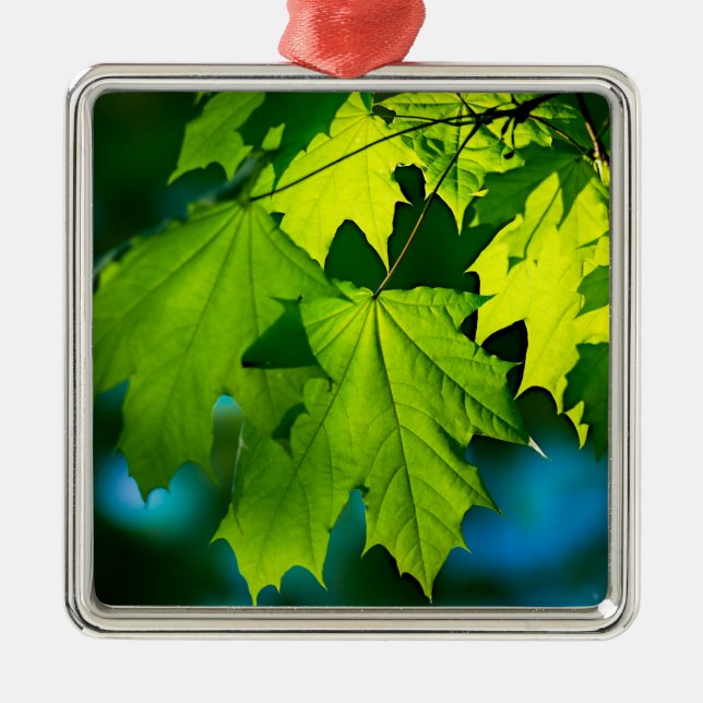 Fresh green maple leaves metal tree decoration (Front)