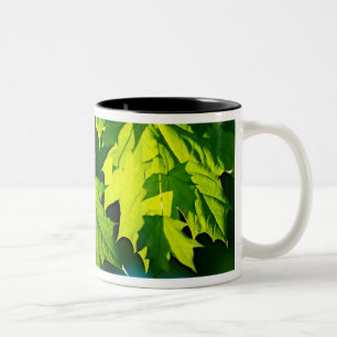 Fresh green maple leaves Two-Tone coffee mug