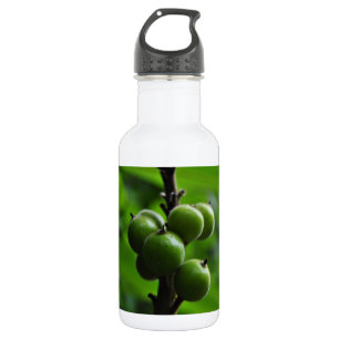Fresh Green Nature 532 Ml Water Bottle