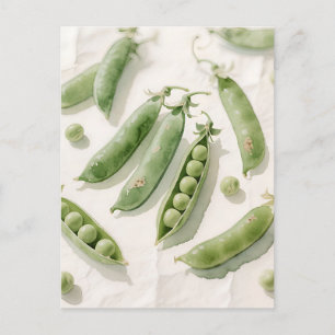 Fresh Green Peas Watercolor Postcard