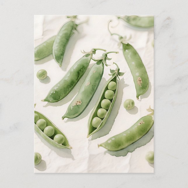 Fresh Green Peas Watercolor Postcard (Front)