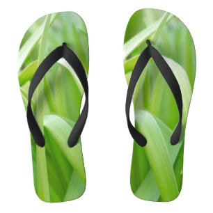 Fresh Green Plant Leaves Jandals