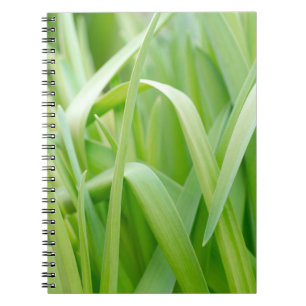 Fresh Green Plant Leaves Notebook