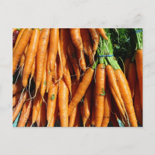 Fresh Harvest Orange Carrots Farm To Table Veg Postcard (Front)