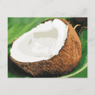 Fresh Hawaiian Coconuts Postcard