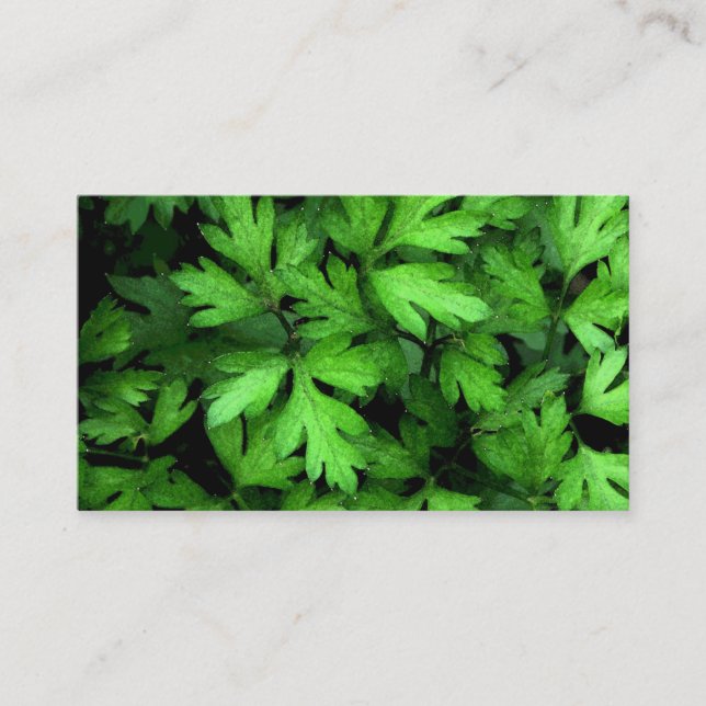 Fresh Herb Market Business Card (Front)