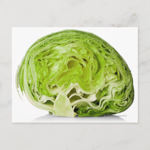 Fresh iceberg lettuce cut in half, on white postcard