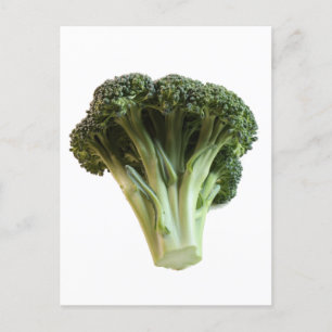 Fresh Jade Green Broccoli Floweret Closeup Photo   Postcard