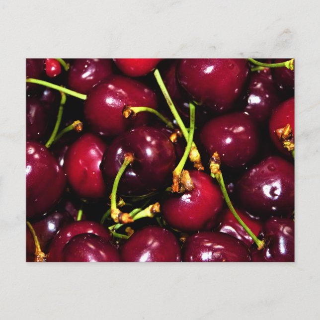 Fresh Juicy Cherries with Water Drops Postcard (Front)