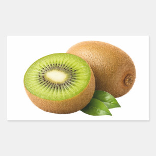 Fresh Kiwi Slice And Whole Fruit Sticker