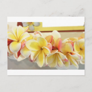 Fresh Lei # 7 Postcard