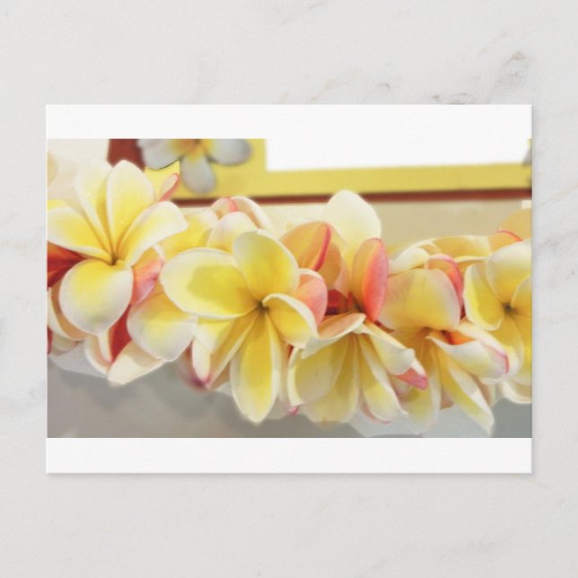 Fresh Lei # 7 Postcard (Front)