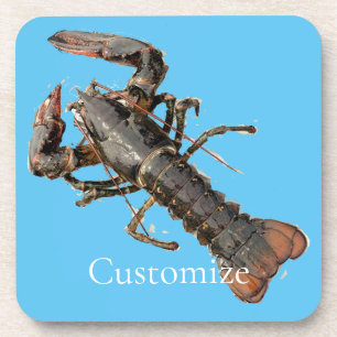 Fresh Maine Lobster Thunder_Cove Coaster