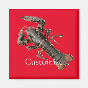 Fresh Maine Lobster Thunder_Cove Magnet