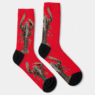 Fresh Maine Lobster Thunder_Cove Socks