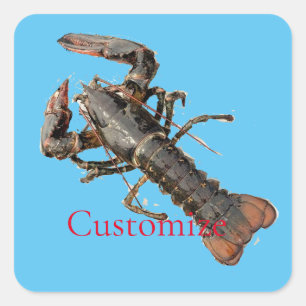 Fresh Maine Lobster Thunder_Cove Square Sticker