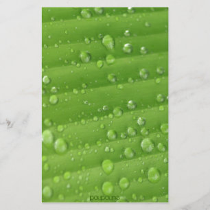 fresh news stationery