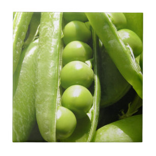 Fresh open green pea pods in sunlight tile