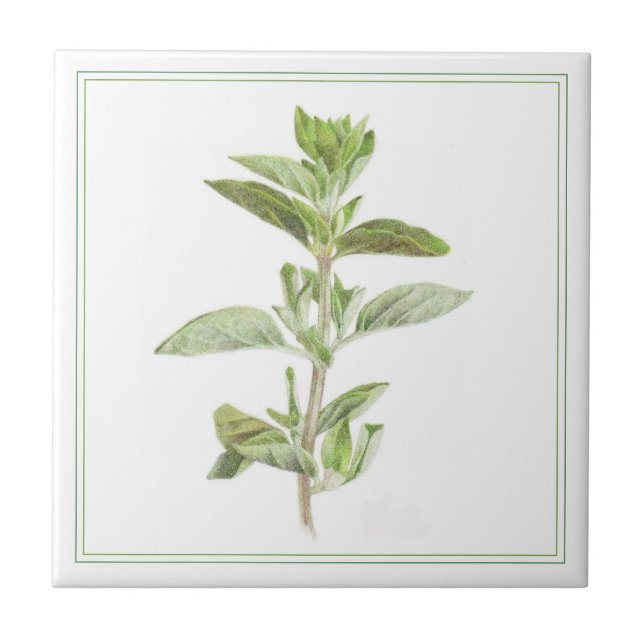 FRESH OREGANO 4.25x4.25 Ceramic Tile (-text) (Front)