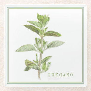 FRESH OREGANO Glass Beverage Coaster (+text)