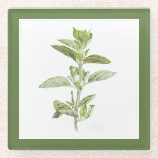 FRESH OREGANO Glass Beverage Coaster (-text) Green (Front)