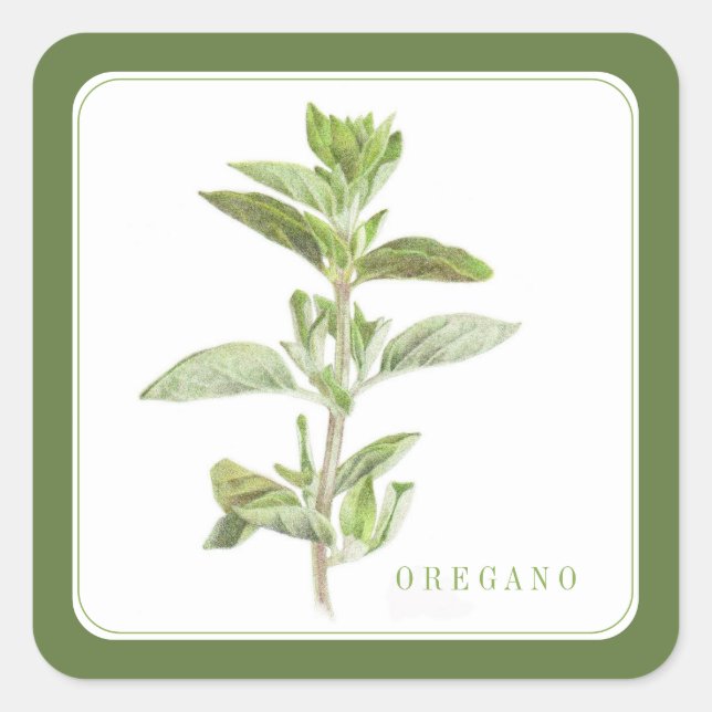 FRESH OREGANO Small Square Stickers (+text) Green (Front)