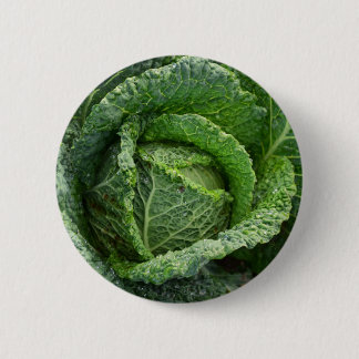 Fresh Organic Cabbage Head 6 Cm Round Badge
