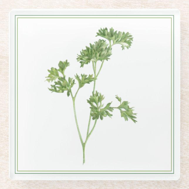 FRESH PARSLEY Glass Beverage Coaster (-text) (Front)