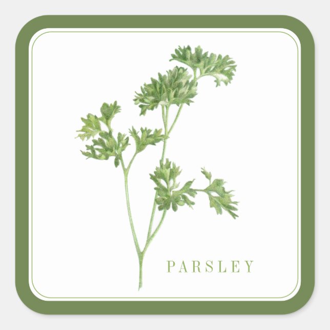 FRESH PARSLEY Large Square Stickers - Green (Front)