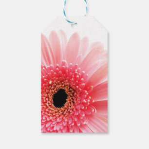 Fresh Pink Gerbera Daisy Photograph Gift Tags