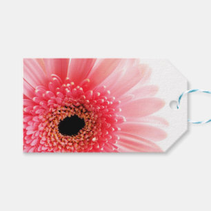 Fresh Pink Gerbera Daisy Photograph Gift Tags