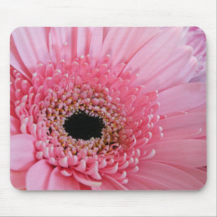Fresh Pink Gerbera Daisy Photograph Mouse Pad