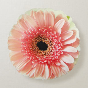 Fresh Pink Gerbera Daisy Photograph Round Cushion